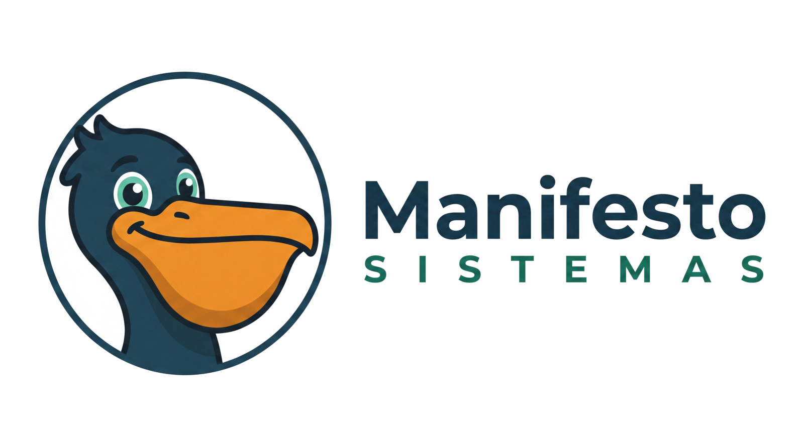 Manifesto Sistemas